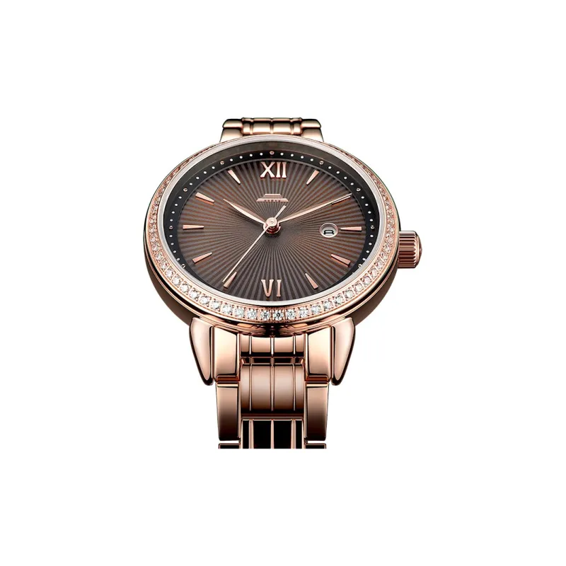 Beijing Double Swallow Mechanical Movement Stainless Steel Watchband Watch Women's Watch Black Dial-6