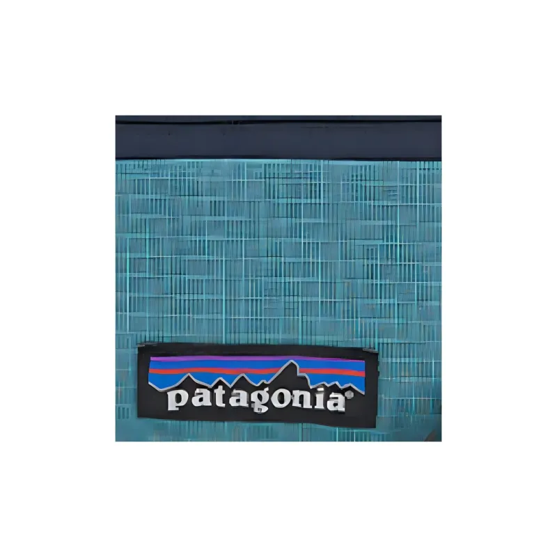 Patagonia Polyamide Fanny Pack Regular Unisex Tree Ring Red-3