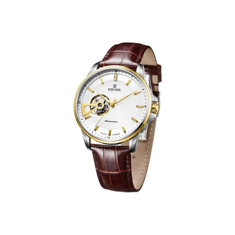 EBOHR Master Collection Mechanical Movement Genuine Leather Strap Watch Men's Watches Silver Dial-1