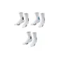 White Black+White Blue+White Green
