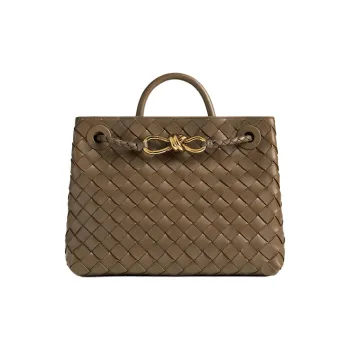 Bottega Veneta Andiamo Small Tote Bag