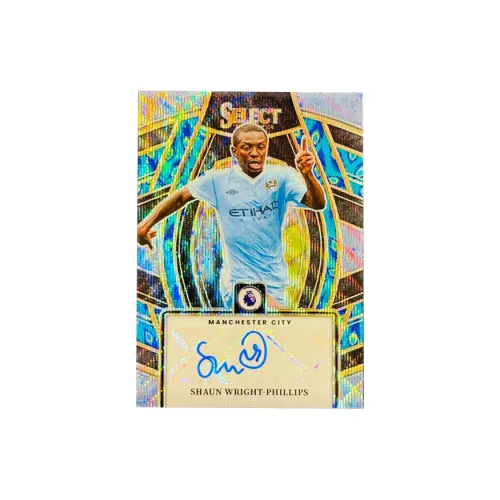 PANINI Sports Cards