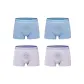 4 Pack (2 White Blue+2 Zinc Gray)