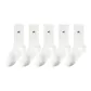 Coconut Milk White 5,5 Pack