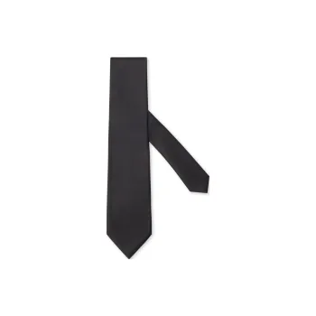 Ermenegildo Zegna Pointed Tip Tie