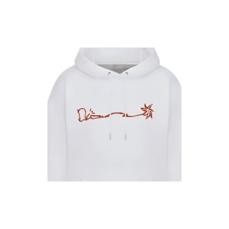 DIOR X Cactus Jack Oversized Hoodie-1