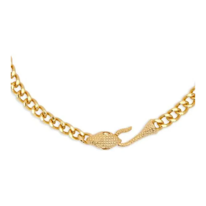 Oscar De La Renta Snake Head Chain link Necklace-1