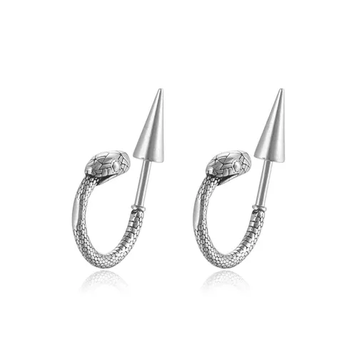 JOLLY NOTE Fashion Casual Everyday Commute Versatile For Students Earrings Unisex