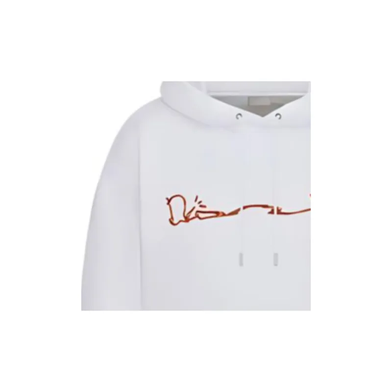 DIOR X Cactus Jack Oversized Hoodie-3
