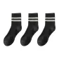 Dark Gray 3