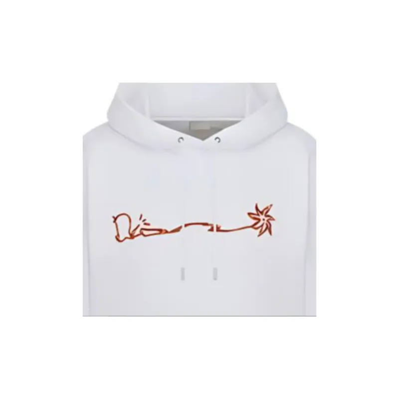 DIOR X Cactus Jack Oversized Hoodie-4