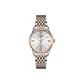 Rose Case White Dial Rose Steel Band