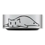 Soft and Cute Cat Time