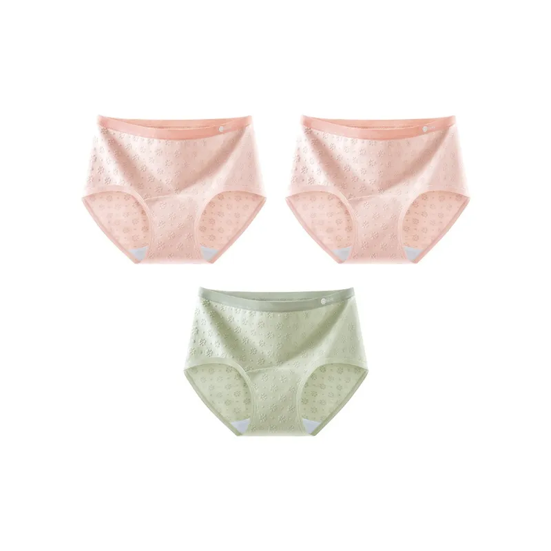 Ordifen Underpants Women's 3 Pack-20