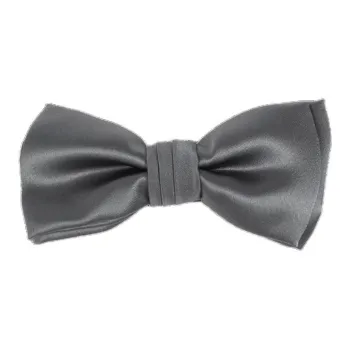 Ferragamo Bow Tie