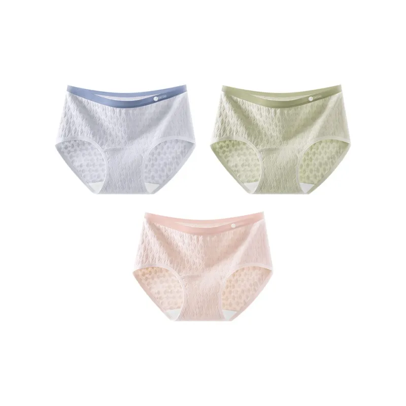 Ordifen Underpants Women's 3 Pack-18
