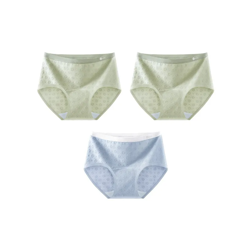 Ordifen Underpants Women's 3 Pack-15