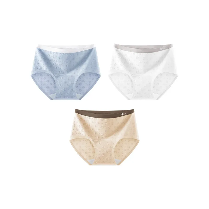 Ordifen Underpants Women's 3 Pack-30