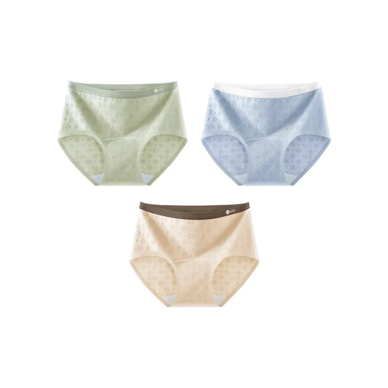 Ordifen Underpants Women's 3 Pack-10