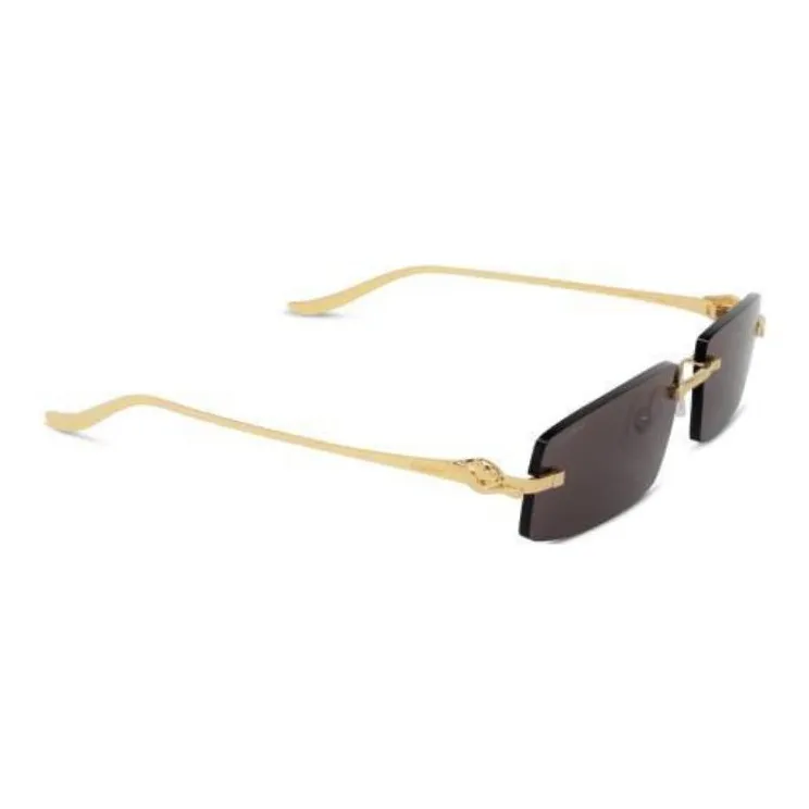 Cartier Eyewear Rectangle Frame Sunglasses-2