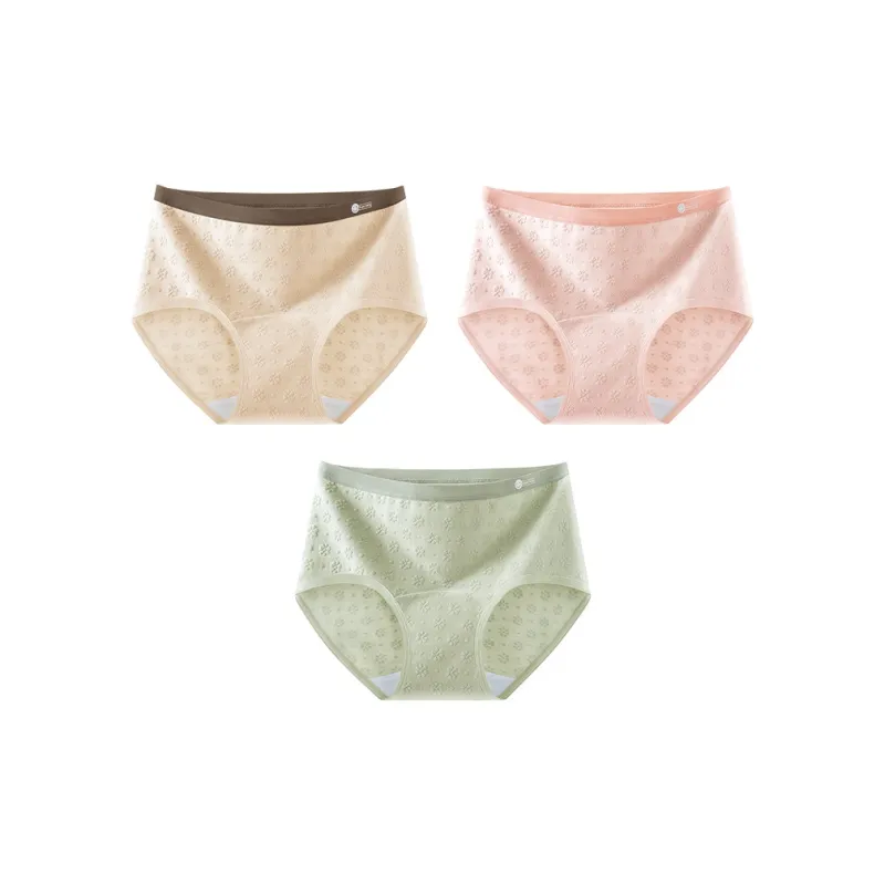 Ordifen Underpants Women's 3 Pack-0