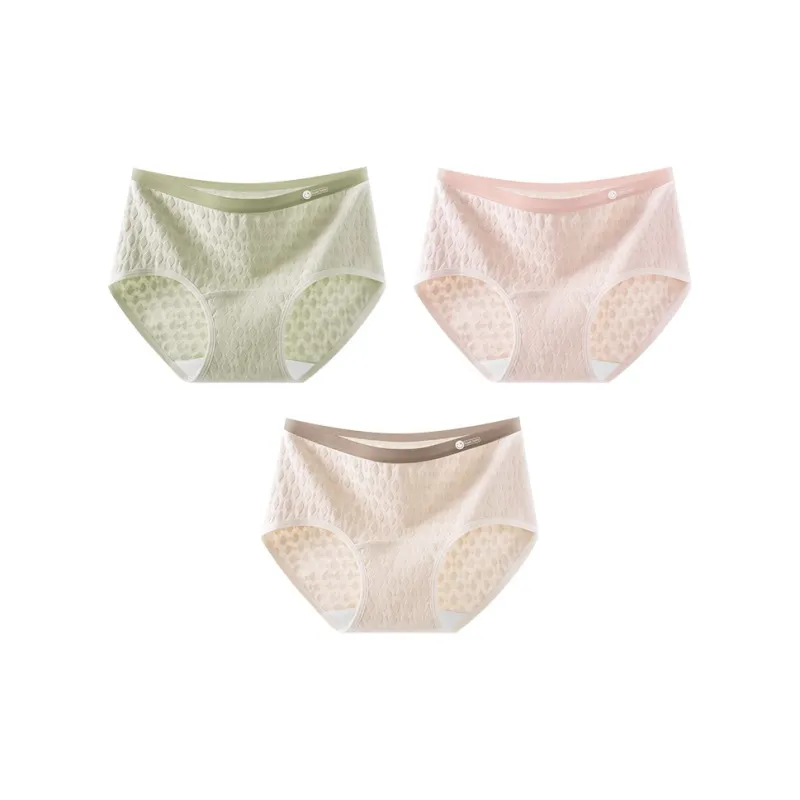 Ordifen Underpants Women's 3 Pack-12