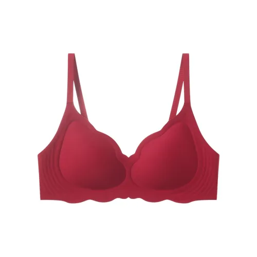 Lanza Women's Bras
