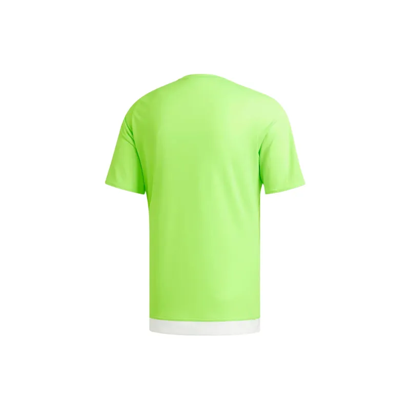 Adidas T Shirts Men Green-1