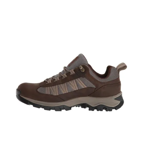 Timberland Anti Slip Wear Resistant Low Top Hiking Shoes Men's Dark Brown