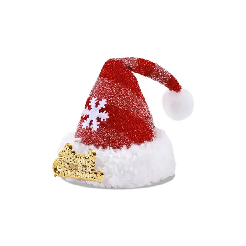 ZANC Hair Clips Women's-7