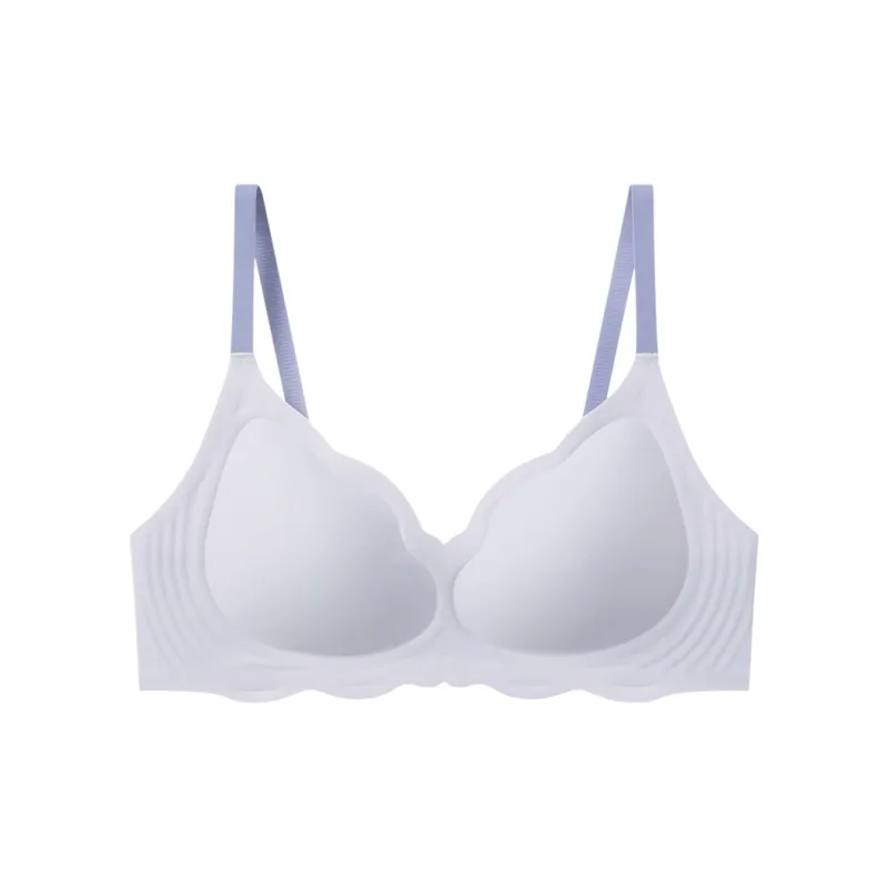 Lanza Women's Bras-6
