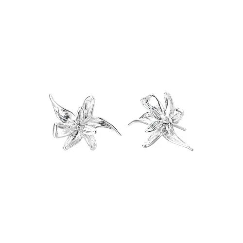 AIDO STUDIO S925 Silver Stud Earrings Women's