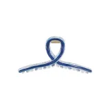 Klein Blue Transparent Claw Clip