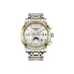 Gold Case White Dial Two-Tone Gold Steel Band
