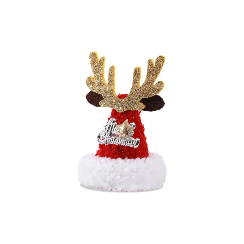 ZANC Hair Clips Women's-1