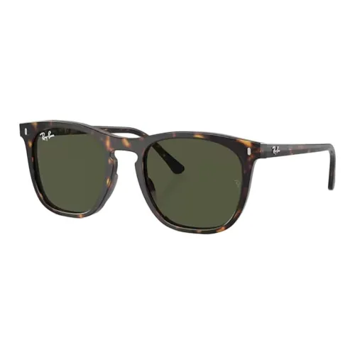 RayBan Propionate Salt Square Sunglasses Unisex Brown