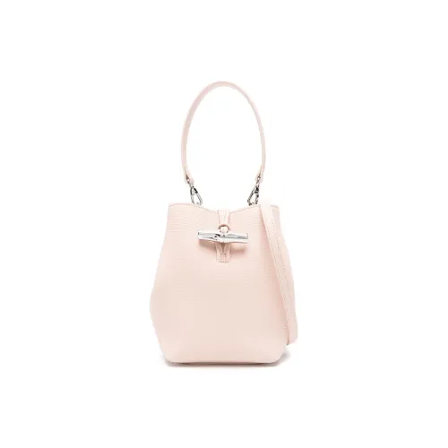Longchamp Latest Limited Edition
