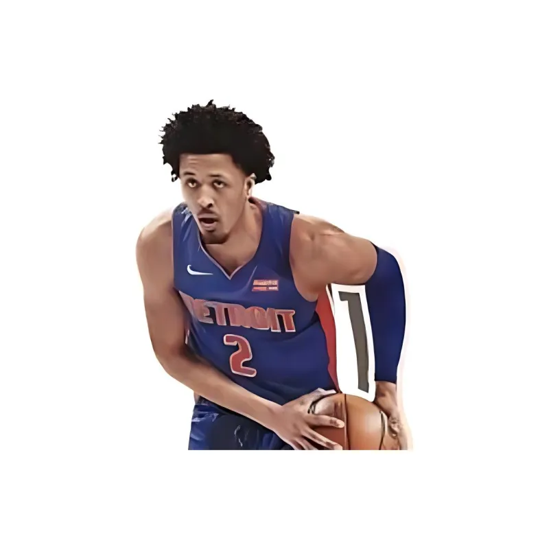 PANINI NBA Player Hoops NBA Basketball BLASTER Box 11 Pks/bx Sports Cards Single Box-2