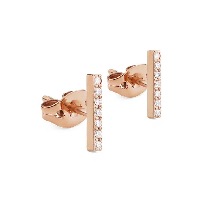 Daniel Wellington Alloy Stud Earrings Women's-0