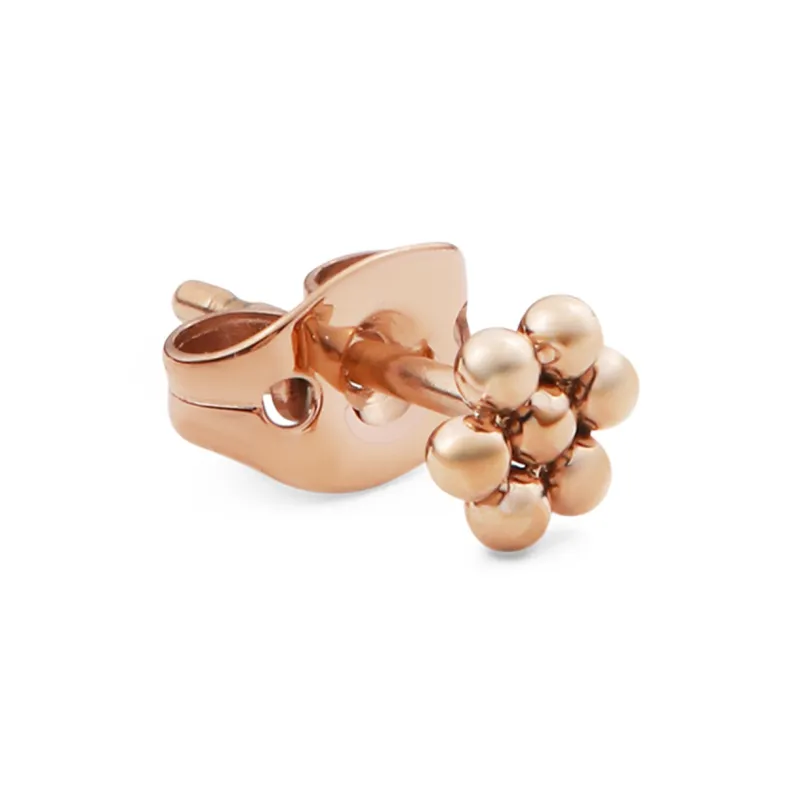 Daniel Wellington Alloy Stud Earrings Women's-0