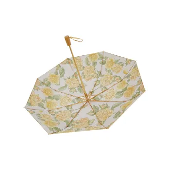 Vonlilienfeld Umbrellas