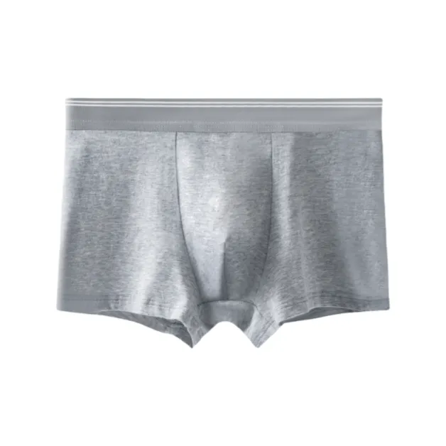 Lan Miao Underpants Men's 2 Pack-5