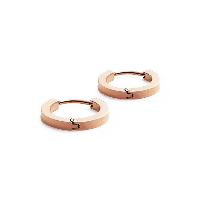 Daniel Wellington Alloy Stud Earrings Unisex-0