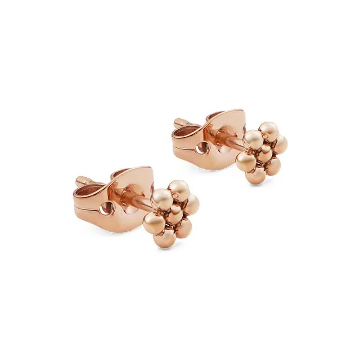 Daniel Wellington Alloy Stud Earrings Women's-0