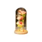 Timber Champagne Pink+Petal