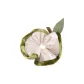 Green Apple Issuance Ring