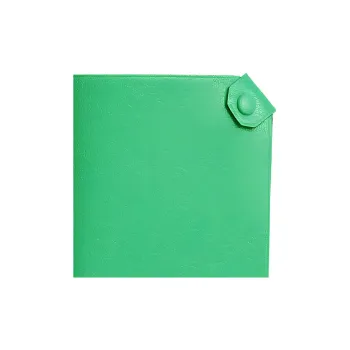 HERMES Tarmac Chamkila Goat Skin Passport Holder Women's Comic Green