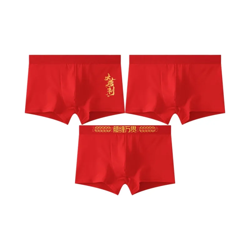 Close fitting Areas Underpants Men's Combo Set-1