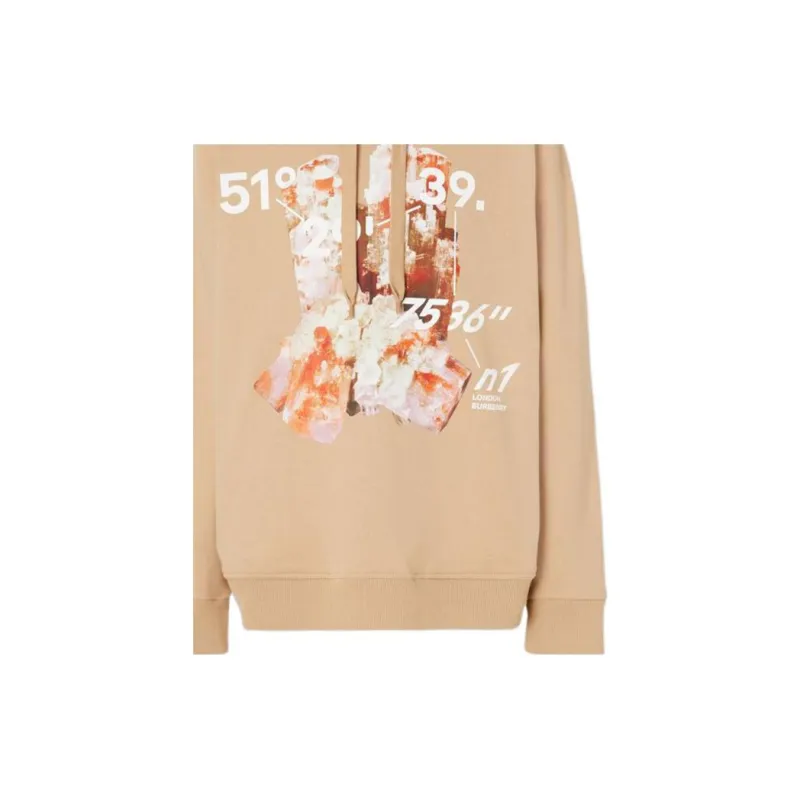 Burberry Crystal And Coordinates Hoodie-5
