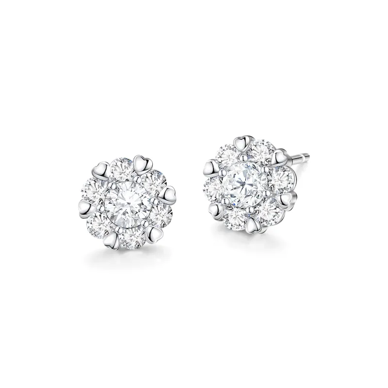 ZSY S925 Stud Earrings Women's Box-0